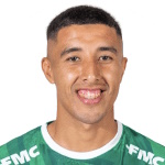 เดวิด แกลลาร์โด