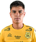 Martin Ignacio Larrain Guzman