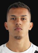 อิกอร์ วินีซุสเดอซูซ่า