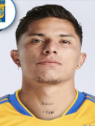 คาร์ลอส  ซัลซีโด้