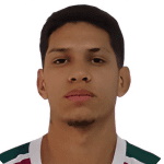 Henrique Goncalves Silva T.